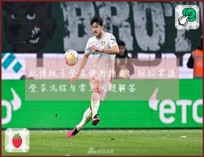 欧博账号登录使用指南：轻松掌握登录流程与常见问题解答