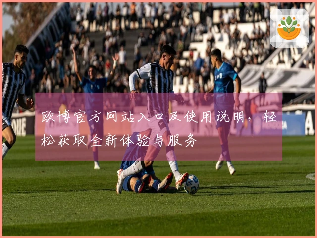 欧博官方网站入口及使用说明，轻松获取全新体验与服务